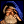 Chessmaster_Samsung_128x160(1)_[Java.UZ]